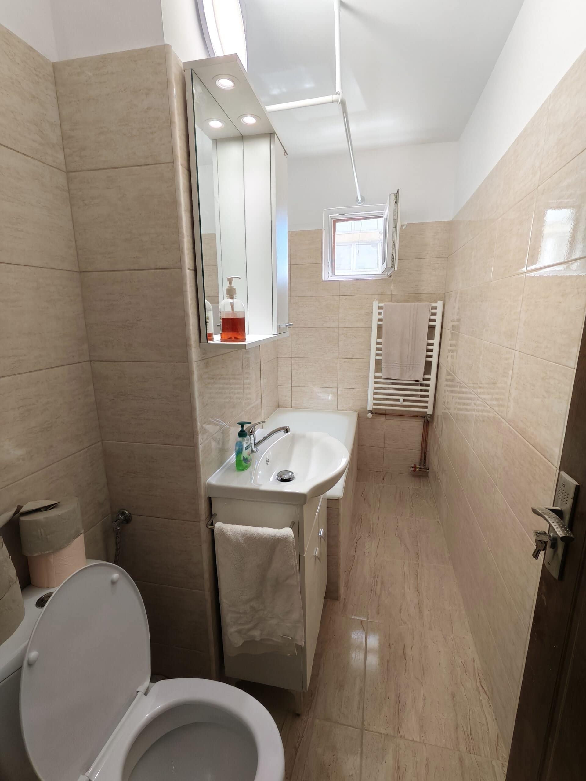 Proeict Renovare (4)
